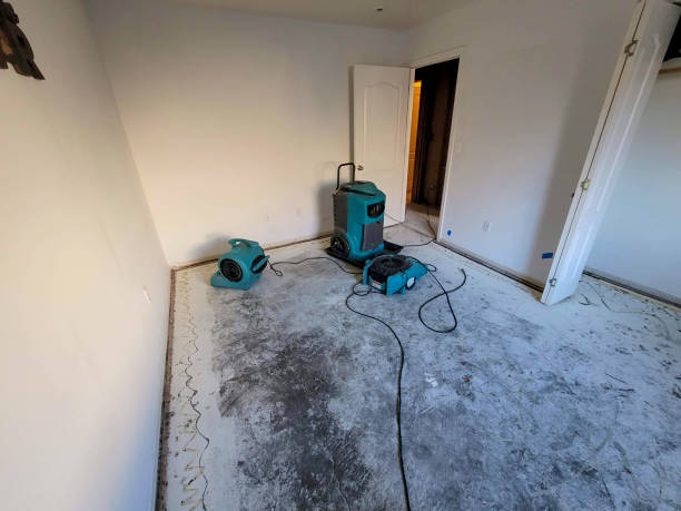 Best Carpet water damage restoration  in Hlsboro, IL