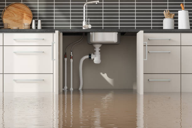 Trusted IL Water damage restoration Experts