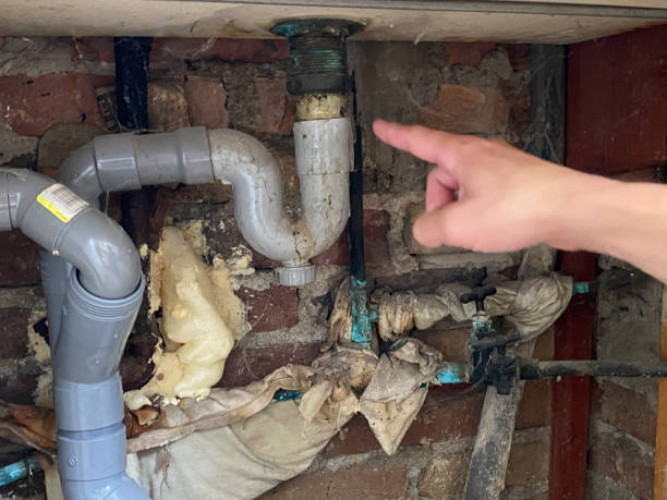 Best Commercial water damage restoration  in Hlsboro, IL